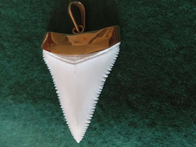 Vintage 9ct Gold Capped "Tooth" Pendant