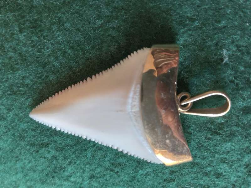 Vintage 9ct Gold Capped "Tooth" Pendant