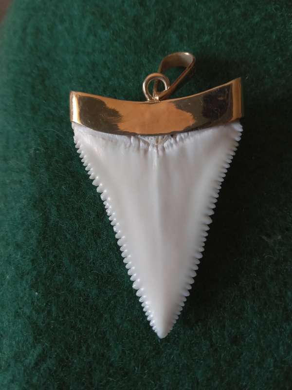 Vintage 9ct Gold Capped "Tooth" Pendant
