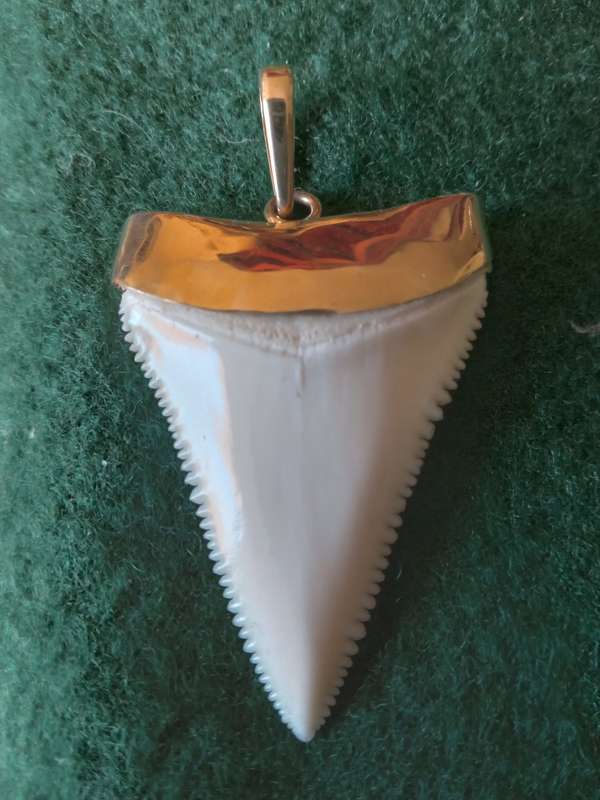 Vintage 9ct Gold Capped "Tooth" Pendant