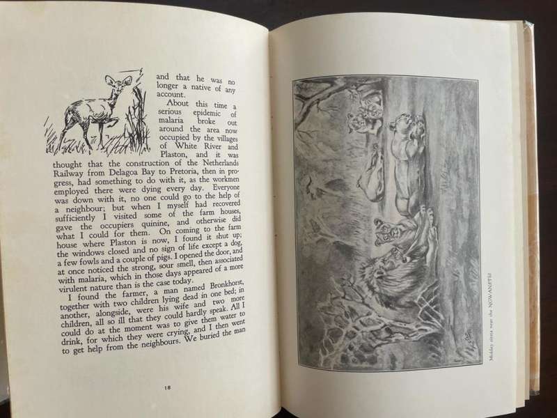 Memories of a Game Ranger - Harry Wolhuter