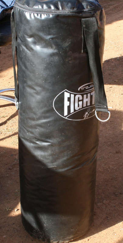 Punch bag TROJAN