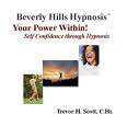 PROGRAM YOUR MIND TO SUCCEED: YOUR POWER WITHIN - SELF CONFIDENCE THROUGH HYPNOSIS (NEW CD)
