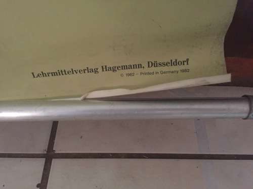 Rare Lehrmittelverlag Hagemann Anatomy Poster