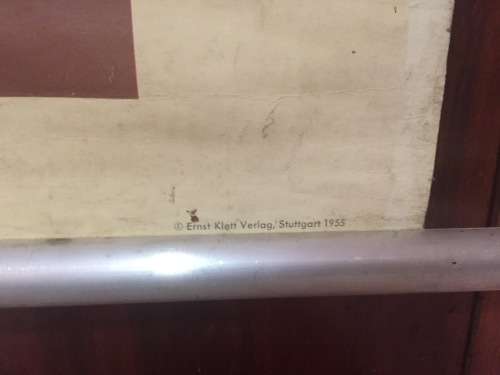 Rare Ernst Klett Verlag Anatomy Poster