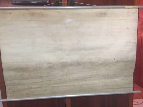 Rare Ernst Klett Verlag Anatomy Poster