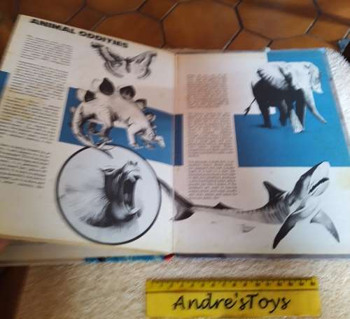 Schoolboys Annual 1977