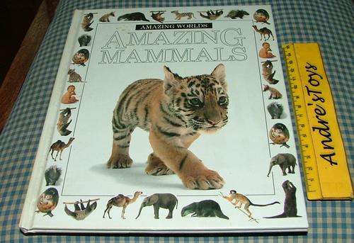 Amazing Worlds ~ Amzing Mammals