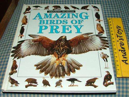Amazing Worlds ~ Amzing Birds Of Prey