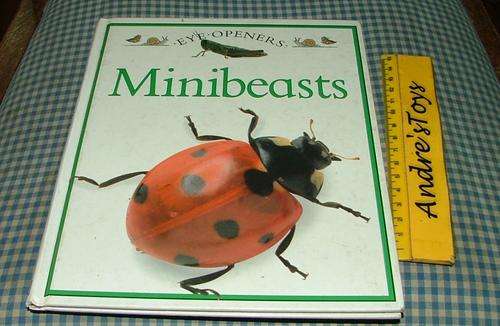 Eye Opners  ~ Minibeasts