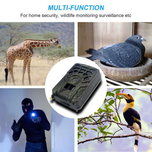 Forest Camera 720p Digital Waterproof Hunting Trail Camera Night Vision Wildlife Monitoring