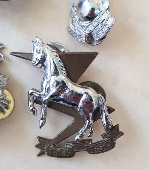SADF Military Intelligence Division Owl pin badges and other SA Military badges