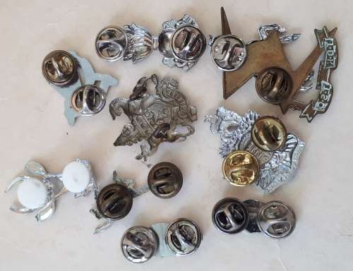 SADF Military Intelligence Division Owl pin badges and other SA Military badges