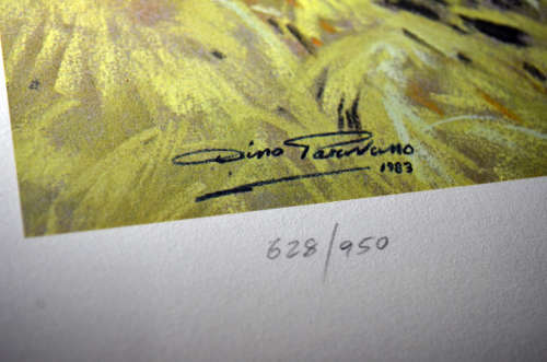 Elephant (Knysna Elephant) print by Dino Paravano  Limited edition numbered and signed colour litho