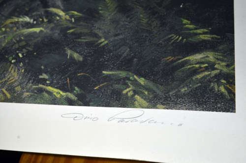 Elephant (Knysna Elephant) print by Dino Paravano  Limited edition numbered and signed colour litho