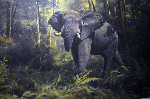 Elephant (Knysna Elephant) print by Dino Paravano  Limited edition numbered and signed colour litho