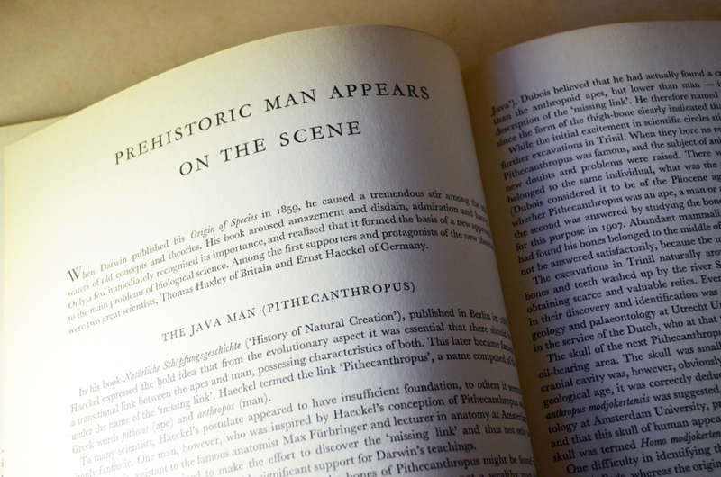 Prehistoric large hardcover rare books: Prehistoric Animals and Prehistoric Man by Josef Augusta.