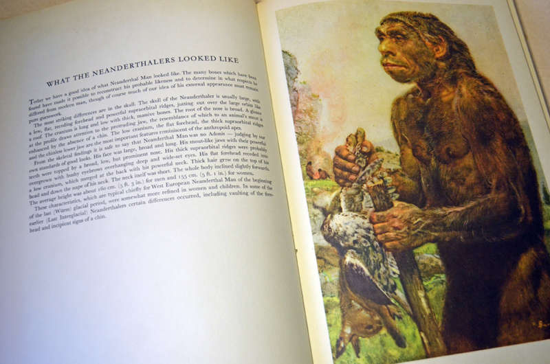 Prehistoric large hardcover rare books: Prehistoric Animals and Prehistoric Man by Josef Augusta.