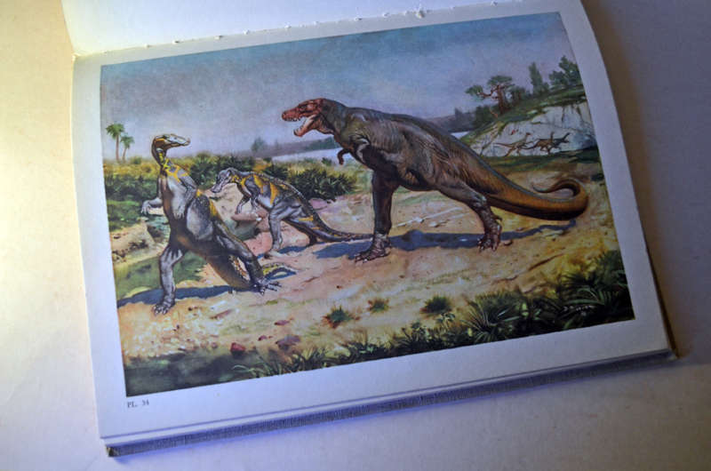 Prehistoric large hardcover rare books: Prehistoric Animals and Prehistoric Man by Josef Augusta.