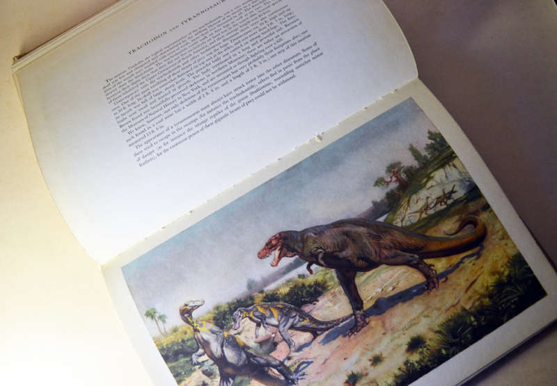Prehistoric large hardcover rare books: Prehistoric Animals and Prehistoric Man by Josef Augusta.