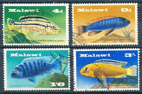 MALAWI  1967 -   Fish - Lake Malawi Cichlids  -   FULL SET   -  FINE USED