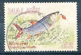MALAWI  1989 -   Malawi Angling Society - Fish    TOP VALUE  -   FINE    USED