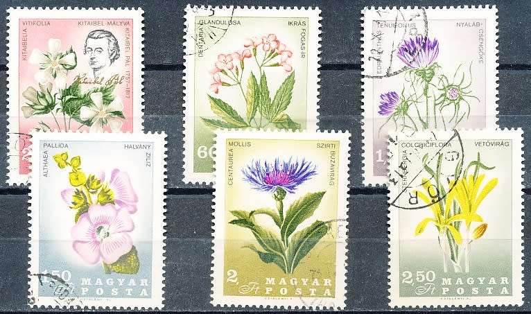 HUNGARY  1967  -   Death of Pal Kitaibel Travel  SET  -   FINE  USED