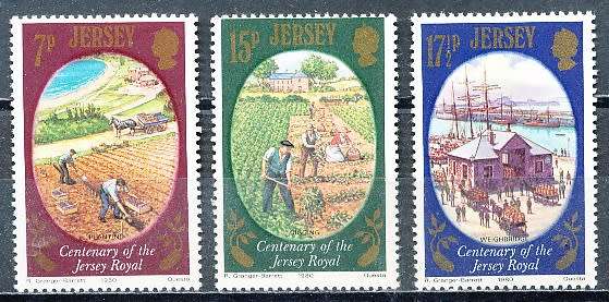 JERSEY   - 1980  The Jersey Royal Potato     FULL SET    -  FINE  MINT
