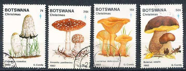 BOTSWANA  1982  -   Christmas - Fungi  FULL  SET    -    FINE    USED