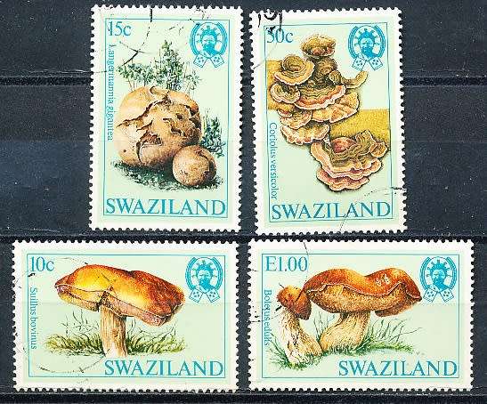 SWAZILAND   1984   - Mushrooms  FULL  SET  -    FINE    USED