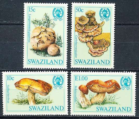 SWAZILAND   1984   - Mushrooms  FULL  SET  -    FINE    MINT