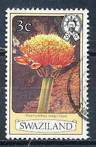 SWAZILAND   1980   -  Flowers  3c  PERF 12  -    FINE USED