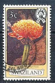 SWAZILAND   1980   -  Flowers  3c  PERF 12  -    FINE USED