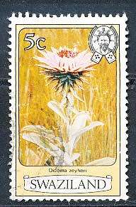 SWAZILAND   1980   -  Flowers  5c  PERF 12  -    FINE USED