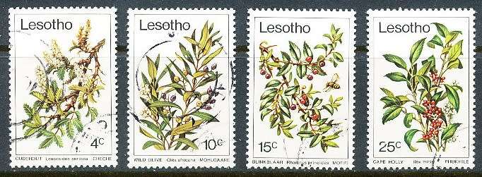 LESOTHO  1979 -    Trees  FULL SET   -   FINE   USED