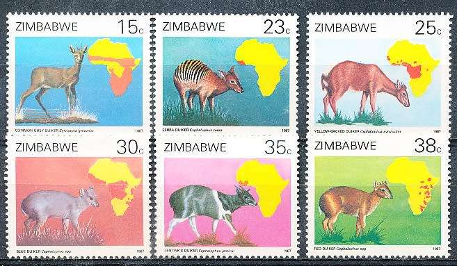 ZIMBABWE 1987  -    Duikers of Africa Survey  -   FULL SET  -  FINE  MINT