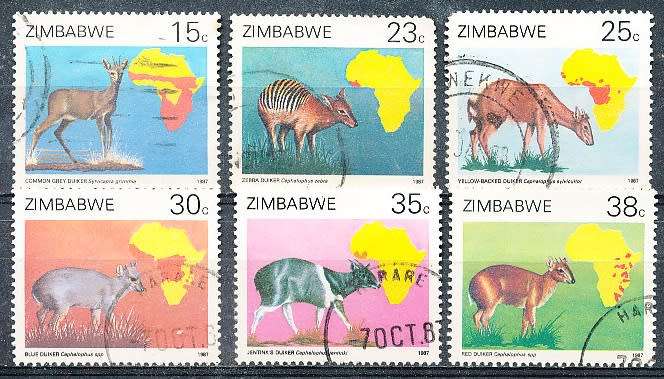 ZIMBABWE 1987  -    Duikers of Africa Survey  -   FULL SET  -  FINE  USED