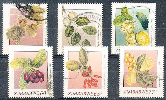ZIMBABWE 1991  -  Wild Fruits   FULL  SET    -  FINE   USED
