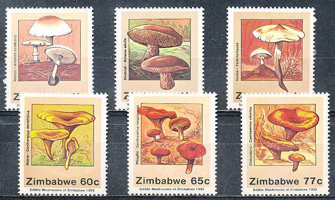 ZIMBABWE 1992  -   Edible Mushrooms   FULL  SET    -  FINE  MINT