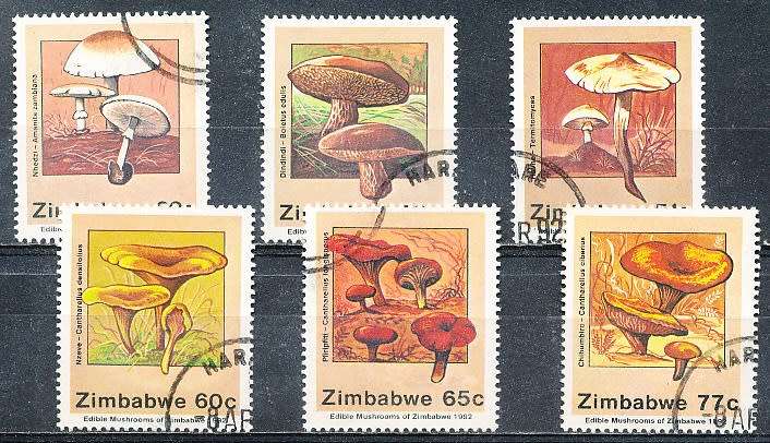 ZIMBABWE 1992  -   Edible Mushrooms   FULL  SET    -  FINE  CTO USED