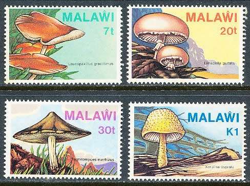 MALAWI  1985 -    Fungi  FULL SET   -  FINE  MINT
