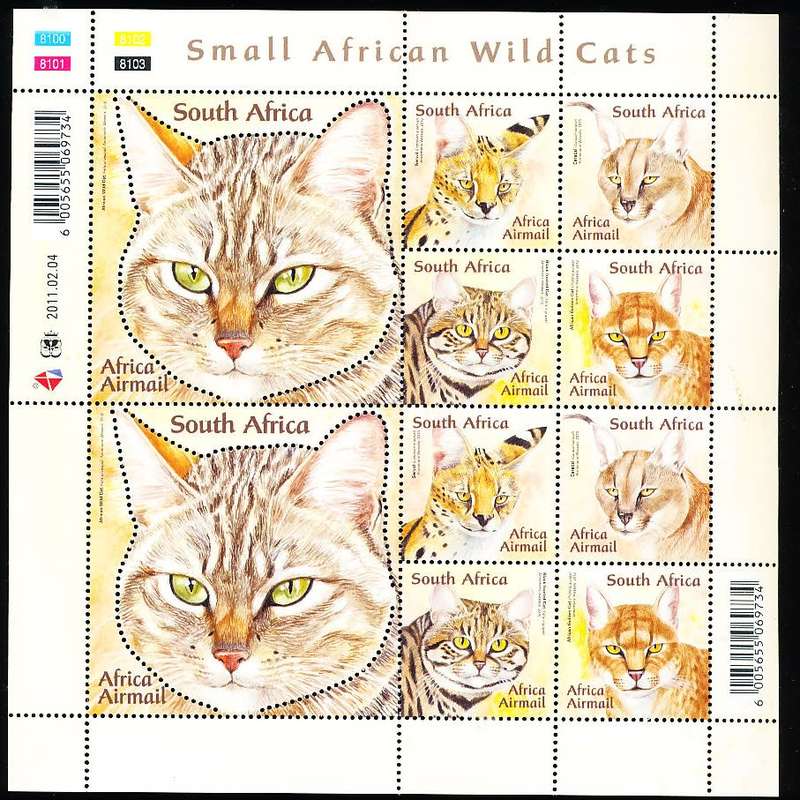 RSA  -  2011 -    Small African Cats  FULL SHEET   - FINE  MINT