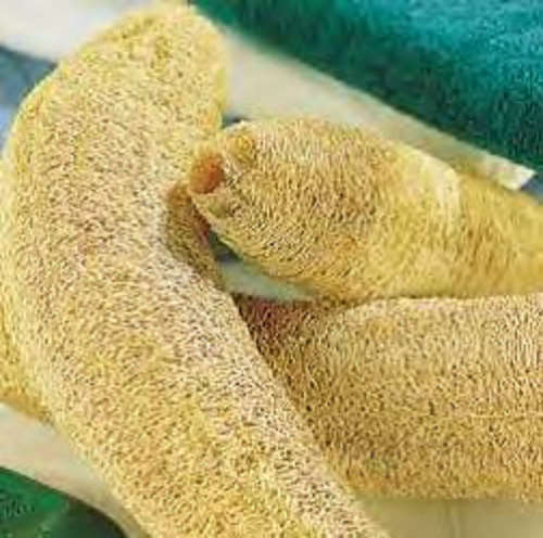 LUFFA (LOOFAH) SPONGE GOURDS SEEDS
