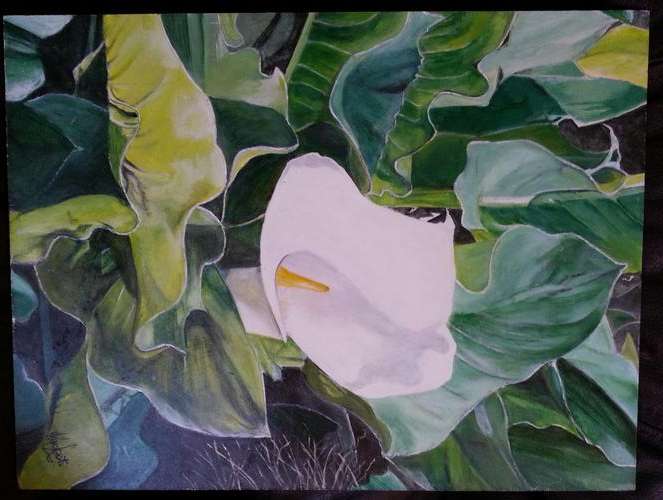 KEN LOOTS ORIGINAL OIL PAINTING (WHITE ARUM LILLY)