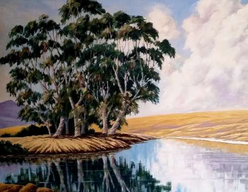 ORIGINAL OIL ON BOARD PAINTING [FARMDAM CALEDON] BY T. J. McVEIGH MARKET PRICE R4000