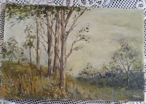 ORIGINAL OIL ON BOARD CANVAS PAINTING (LANDSCAPE, BULAWAYO, RHODESIA) BY J. TUNER