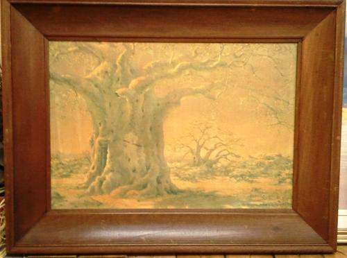 A REPRODUCTION OF BOABAB TREE IN AN OLD BROWN FRAME