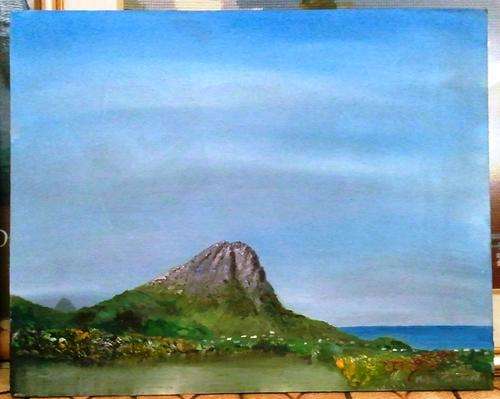 MIKE TALJAARD ORIGINAL OIL PAINTING ON BOARD CANVAS (HANG KLIP, PRINGLE BAY, WESTERN CAPE)