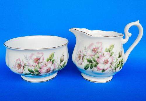 Royal Albert Friendship Series " Wild Rose " Milk Jug And Sugar Bowl - Made In England