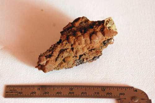 Natural siderite epimorph after calcite from Aggeneys